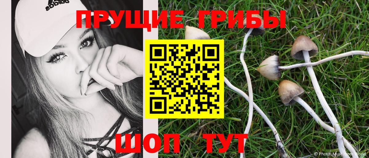 Псилоцибиновые грибы ЛСД  Вход с VPN  Канаш 
