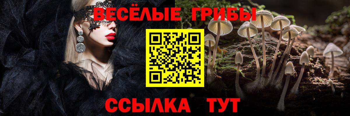Псилоцибиновые грибы Magic Shrooms Канаш